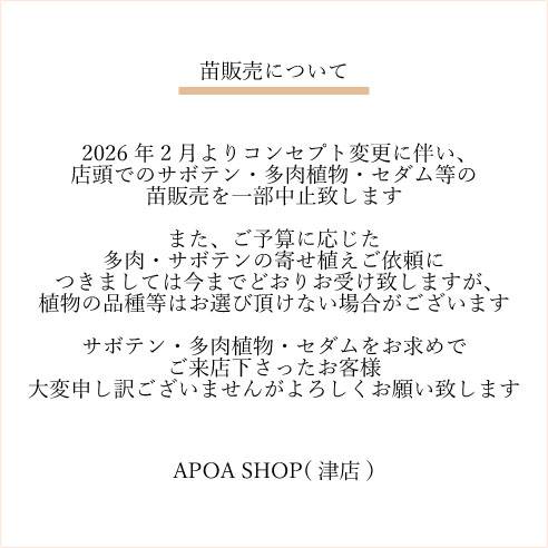 苗販売　アポアショップ