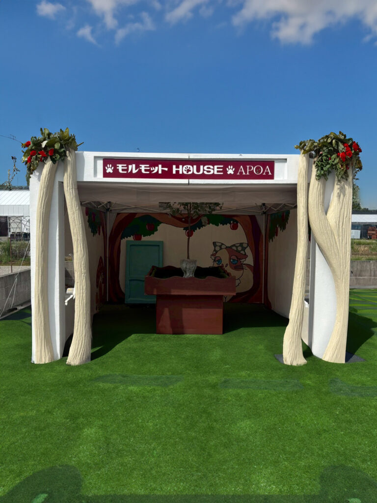 イベントブース「モルモットHOUSE・APOA」ー三重県津市ー