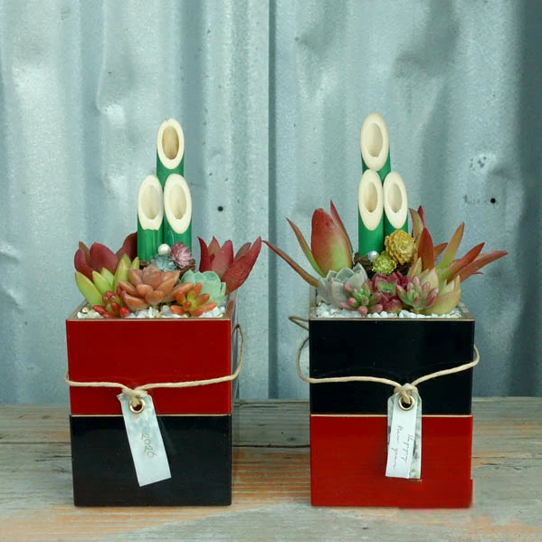 小さなお正月寄せ植え　アポアショップ