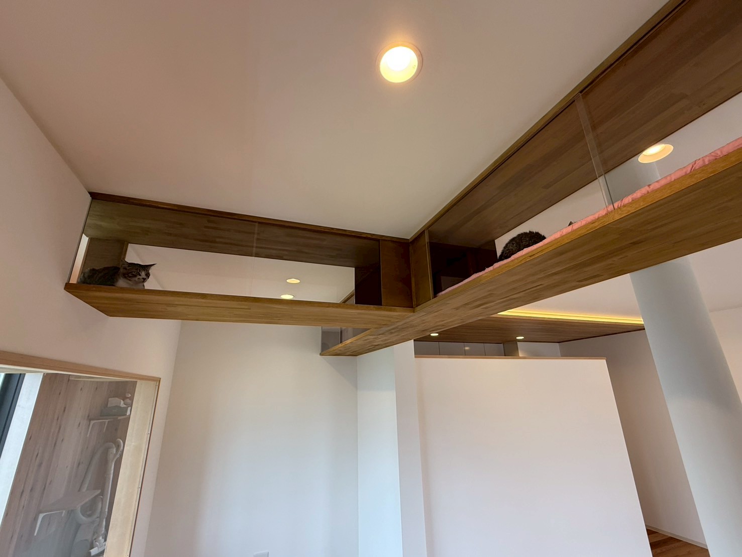 三重県,アポア,店舗,キャットウォーク