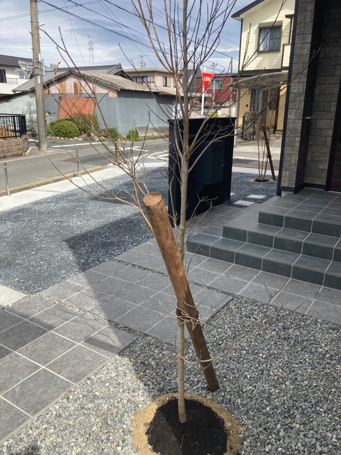 三重県,アポア,外構,木